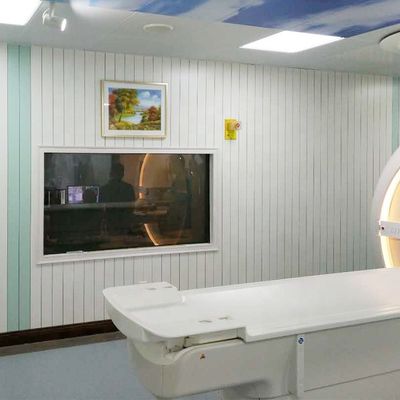 MRI 電波周波数隔離 干渉防止 信号衰弱60dBに達する窓 耐久的な電磁障壁使用のために開発